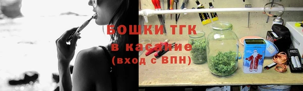 шишки Нягань
