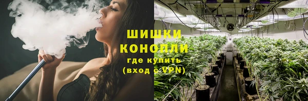 гидра Нязепетровск