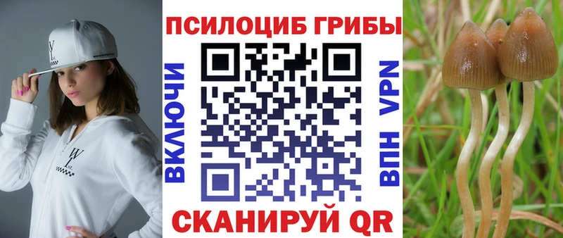 закладки  Урус-Мартан  Псилоцибиновые грибы MAGIC MUSHROOMS 