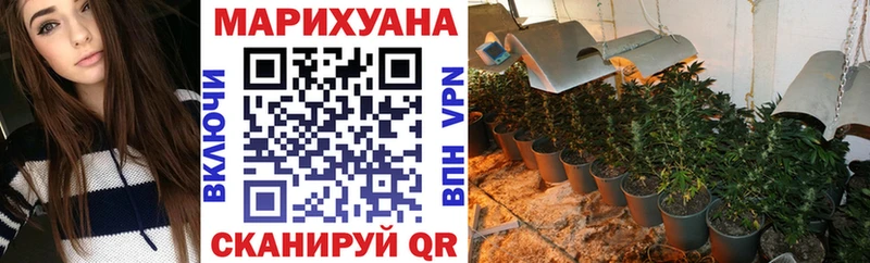 Шишки марихуана THC 21%  Урус-Мартан 